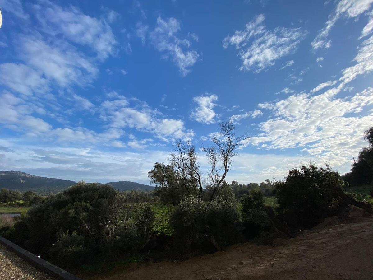 Porto-Vecchio, Luxe Et Lumiere, Stanatura Exterior foto